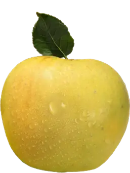 opal apple UK, opal apple UNIVEG, opal empire world trade