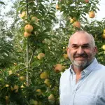 opal apple uk